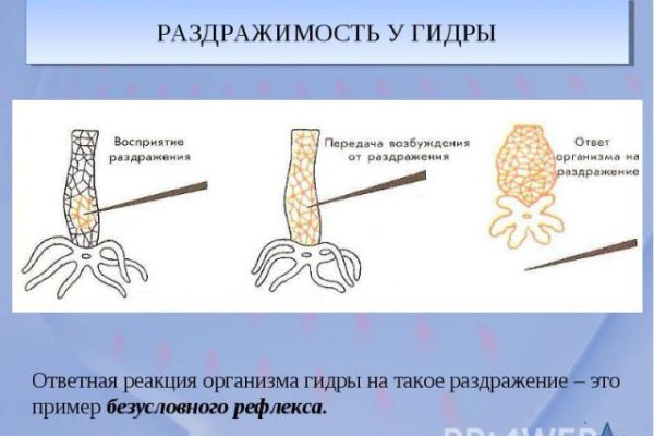 Гидра зайти кракен