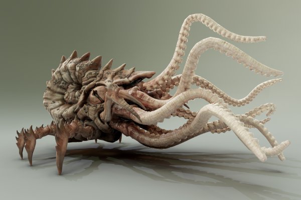 Kraken актуальные ссылки официальный сайт