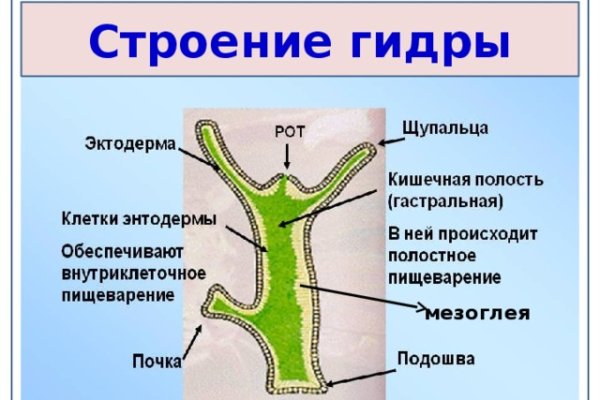 Кракен наркошоп ссылка