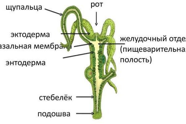 Кракен маркет что