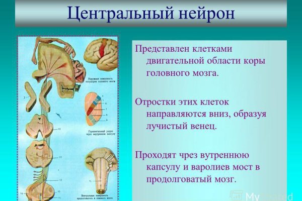 Кракен даркнет только через