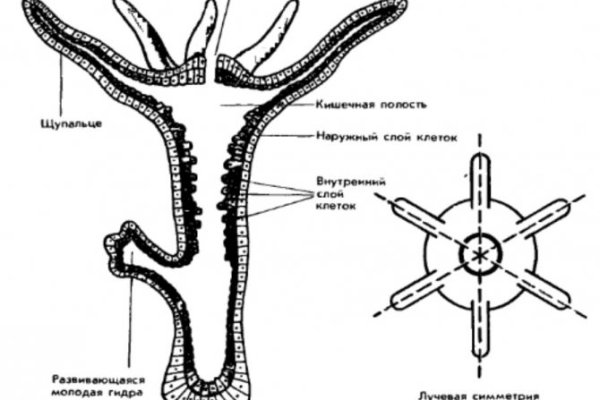 Кракен krakken15at com